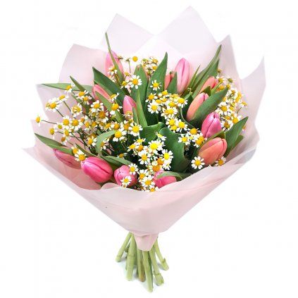 Růžové tulipány s heřmánkovcem