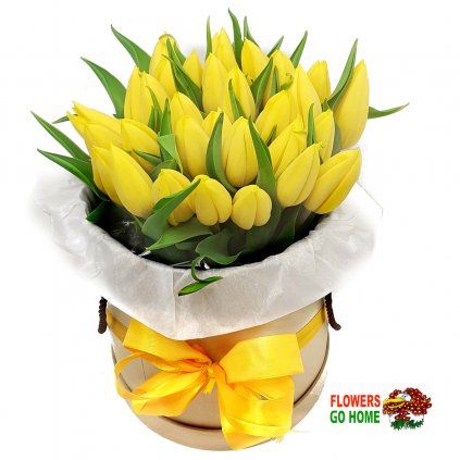 Žluté tulipány