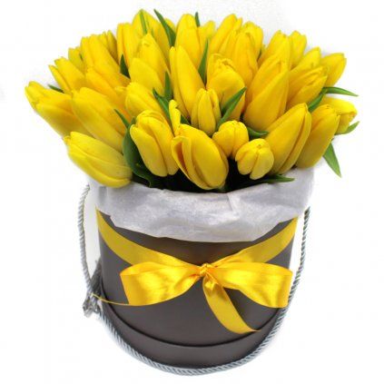 Žluté tulipány box