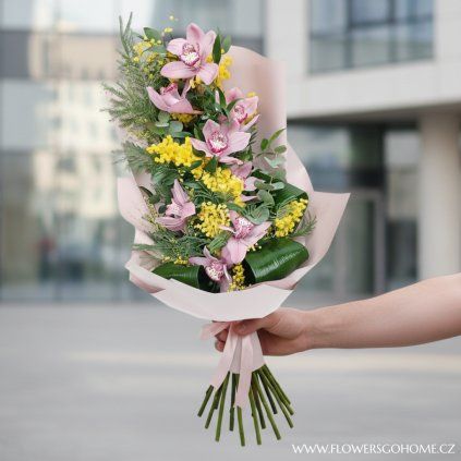 Orchidej s mimosou