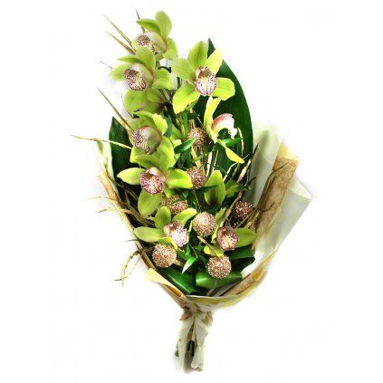 Vánoční květina z orchidejí