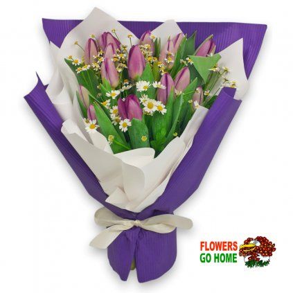 Fialové tulipány s manžetou