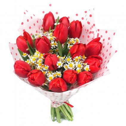 Červené tulipány s heřmánkovcem