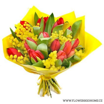 Kytice tulipánů s mimosou