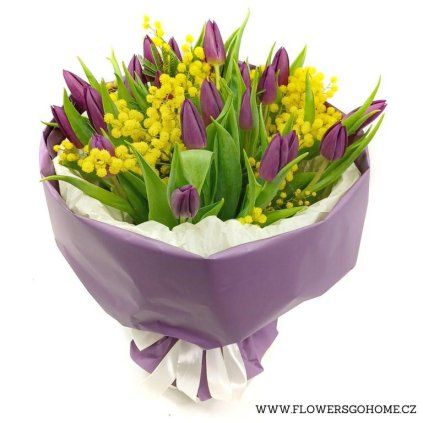Fialové tulipány s mimosou