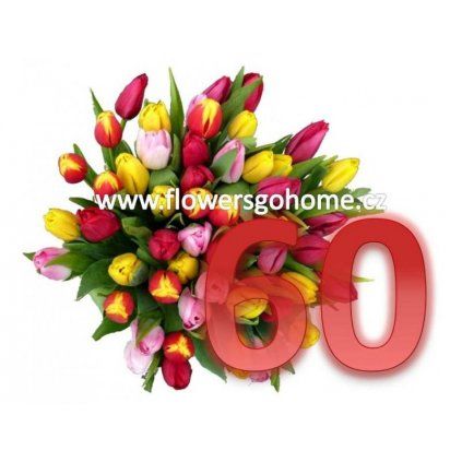 60 tulipánů