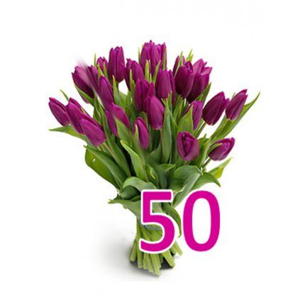 50 tulipánů