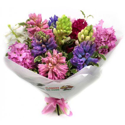 Hyacinty