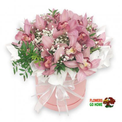 Orchidej ve flowerboxu