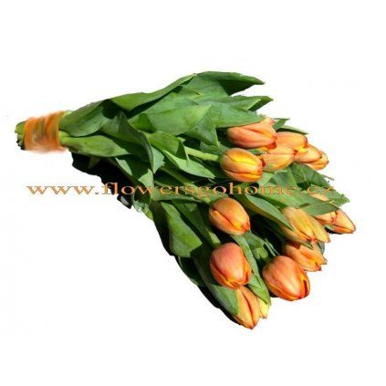Oranžové tulipány