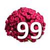 99 růží