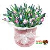 Tulipány Gypsy Blue flowerbox