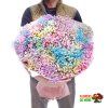 Gypsophila rainbow