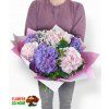 Hortenzie s gypsophilou