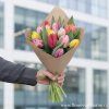 15 tulipánů tulipány Praha