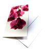 Orchidej